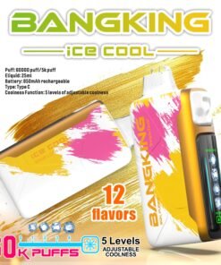 ❄️ Bang King Ice Cool 60000口 |5 段可調冰感 × 超強續航電子煙