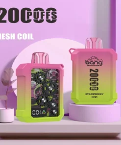 Bang Wheel 20000 Puffs 一次性電子煙｜LCD螢幕顯示 × Type-C快充 × 25mL煙油